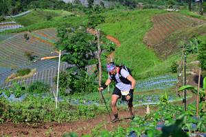 BIB: 1460
                            <button type="button" onclick="openModal(13379125)" class="btn btn-primary btn-sm float-right btn-popup" data-toggle="modal" data-target=".modal-high-quality">
                        <i class="fas fa-shopping-cart"></i> Add to Cart
                    </button>
                                            <button type="button" onclick="isThisMe(13379125, true)" class="btn btn-success btn-sm float-right btn-popup btn-isme hidden" data-toggle="tooltip" data-placement="bottom" title="นี่คือรูปของคุณใช่ไหม คลิกที่นี่เพื่อเอาเข้าอัลบั้ม">
                        <i class="fas fa-plus"></i> Add to album
                    </button>
                    <button type="button" onclick="isThisMe(13379125, false)" class="btn btn-warning btn-sm float-right btn-popup btn-isnotme hidden">
                        <i class="fas fa-ban"></i> Remove from album
                    </button>